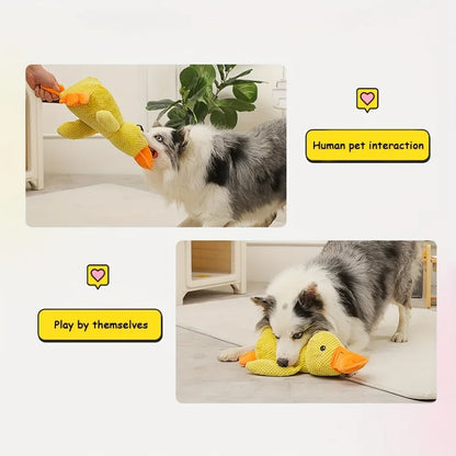 Squeaky Plush Toy for Dogs