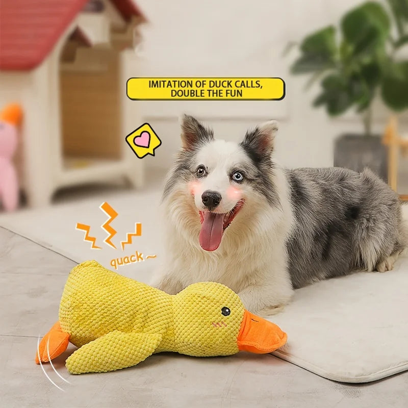 Squeaky Plush Toy for Dogs